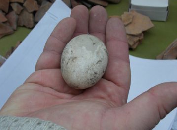 Археологи нашли в Ростовской области куриное яйцо 14 века