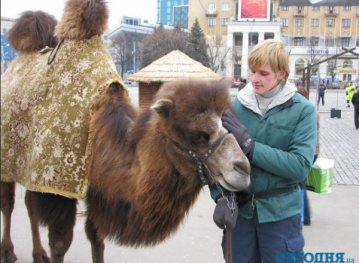В Харьковском зоопарке живет верблюд по имени Юля (ФОТО)