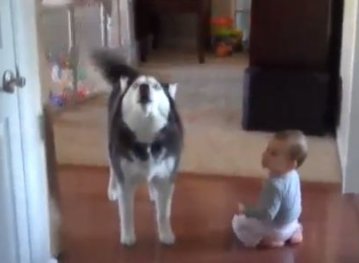 Дружня розмова собаки з маленьким хлопчиком стала хітом в інтернеті