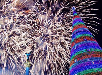 Сегодня на Майдане Независимости зажжется главная новогодняя елка