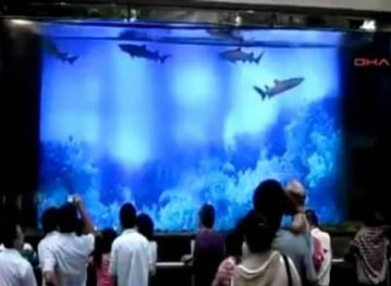 В Китае огромный аквариум с акулами обрушился на людей