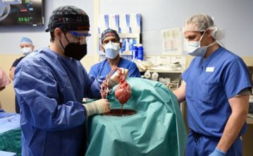 У США людині вперше пересадили серце від генномодифікованої свині