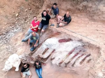 Чоловік знайшов у власному дворі рештки найбільшого в Європі динозавра