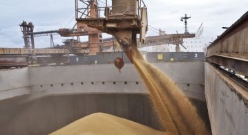 Україна почала перевозити зерно через порти Хорватії