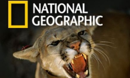 В Україні призупинили трансляцію National Geographic channel через рекламу алкоголю