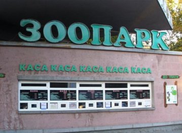 У Киевского зоопарка нет средств чтобы кормить животных