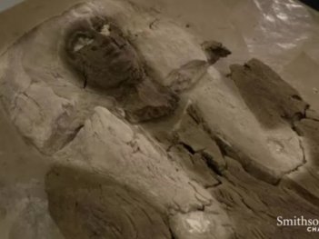 Археологи відкопали саркофаг із принцесою Єгипту