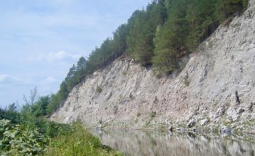 Науковці знайшли багатоніжку з рекордною кількістю ніг