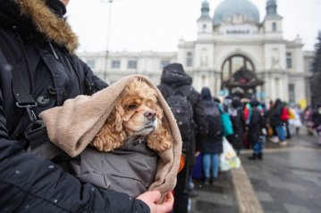 Рибки, лисиці, удави: Укрзалізниця евакуювала понад 100 тисяч тварин