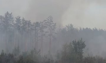 Під Києвом після ворожих обстрілів згоріло 10 га лісу