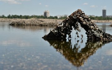 Трагедія Каховської ГЕС відкрила науковцям 