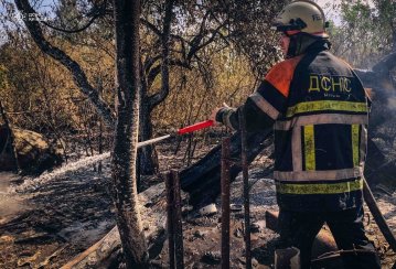 У Чорнобильській зоні триває ліквідація пожежі: задіяно 63 одиниці техніки