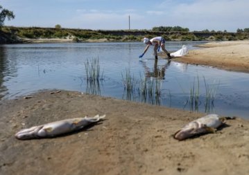 Міндовкілля: забруднені води із Сейму досягнуть Київщини 14-16 вересня