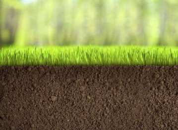 Японія допоможе Україні відновити родючість ґрунтів: впровадить нанобульбашки