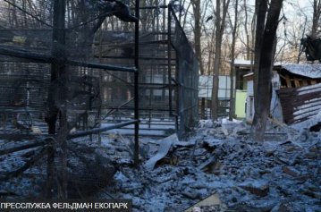 Росіяни вдарили по Фельдман Екопарку під Харковом – поранена волонтерка, загинули тварини