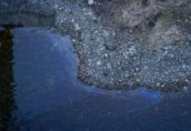 На Дністрі екологічна катастрофа після удару Росії по Дністровській ГЕС. Що загрожує Одесі та Молдові