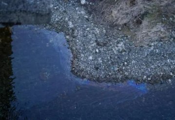 На Дністрі екологічна катастрофа після удару Росії по Дністровській ГЕС. Що загрожує Одесі та Молдові