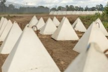 Латвія почала встановлювати 