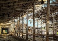 Росіяни прицільно вдарили дроном по фермі на Сумщині - п'ятеро поранених, загинула частина худоби