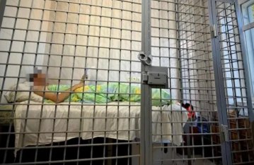 Удар по полігону під Києвом: прокуратура повідомила про підозру організатору військової виставки